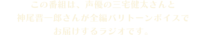 番組の説明です