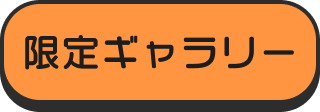 限定ギャラリー