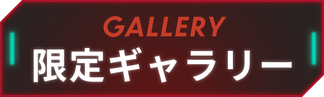 限定ギャラリー