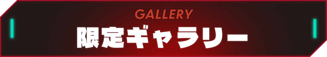 限定ギャラリー