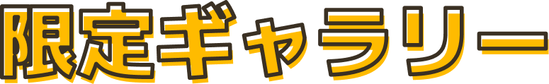 限定ギャラリー